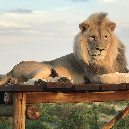 Weltevreden Game Lodge ブルームフォンテーン エクステリア 写真