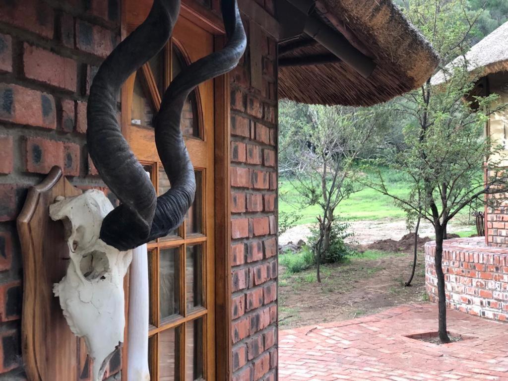 Weltevreden Game Lodge ブルームフォンテーン エクステリア 写真